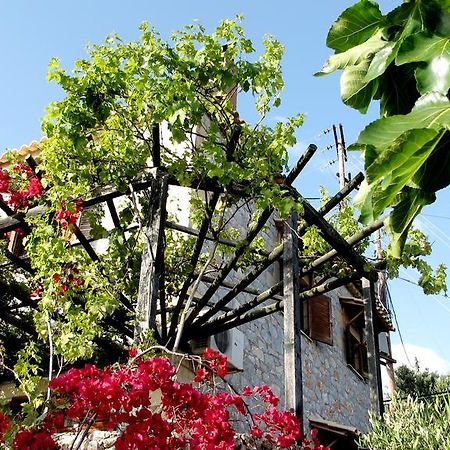 Papanestoras Apartments Kardamyli Dış mekan fotoğraf