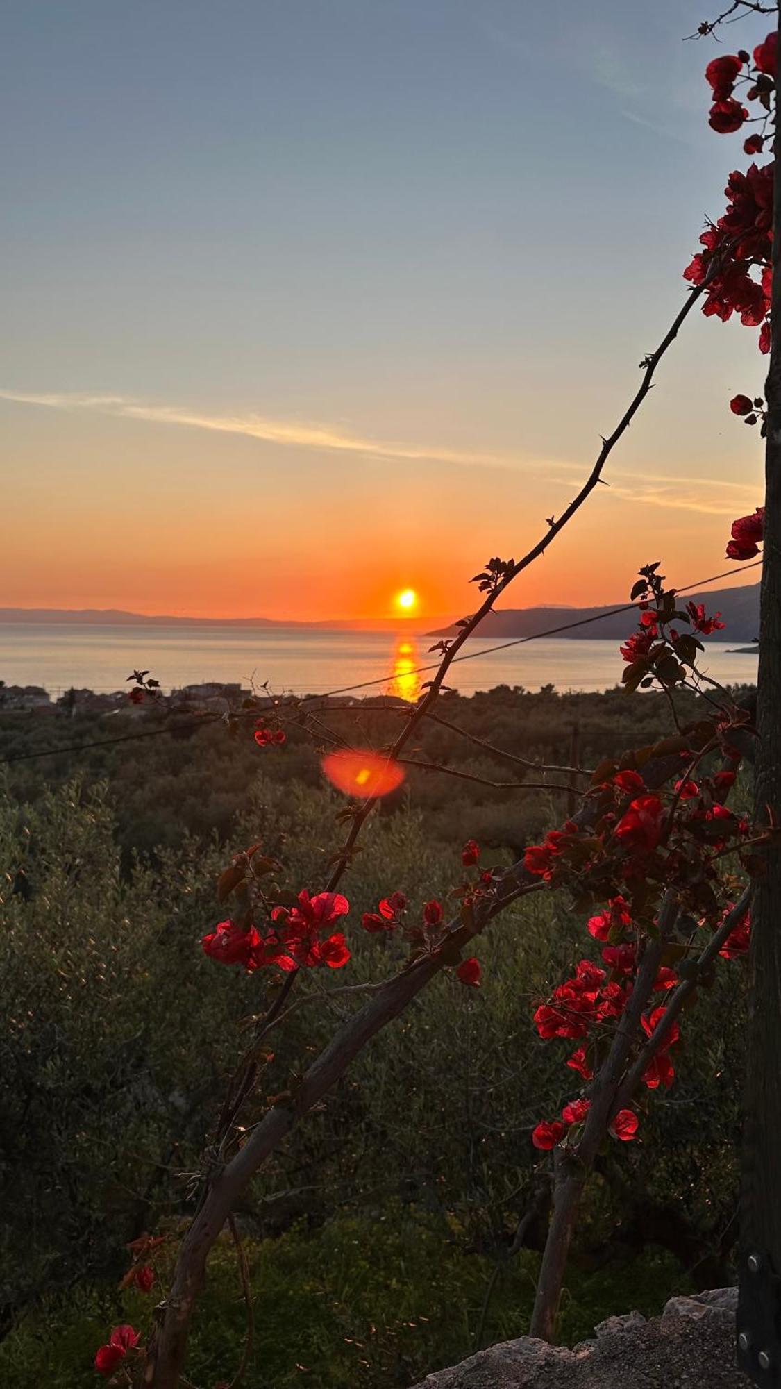 Papanestoras Apartments Kardamyli Dış mekan fotoğraf