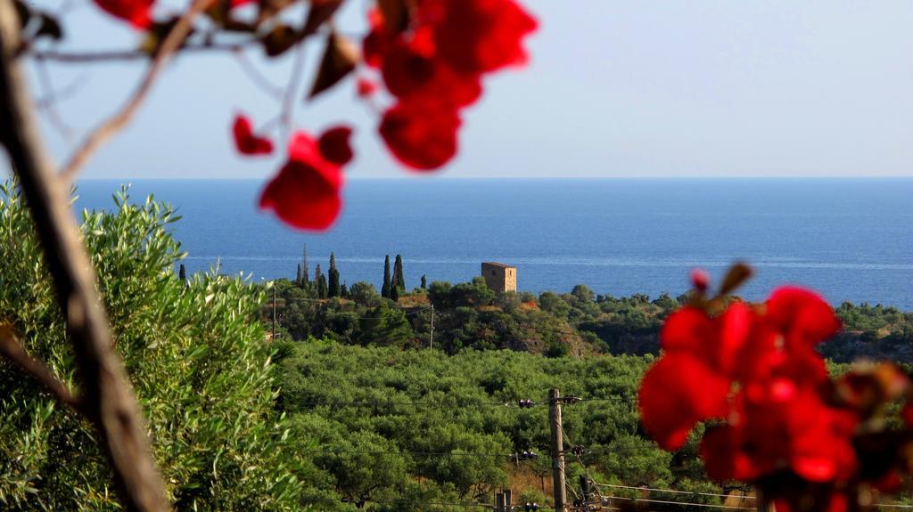Papanestoras Apartments Kardamyli Dış mekan fotoğraf