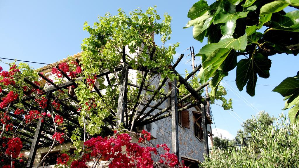 Papanestoras Apartments Kardamyli Dış mekan fotoğraf
